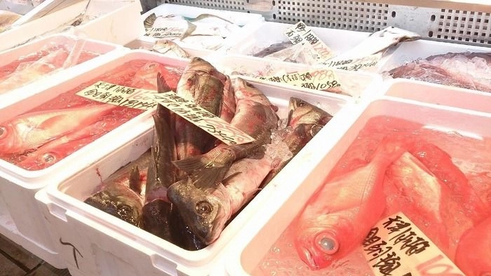 市場で買える海の幸