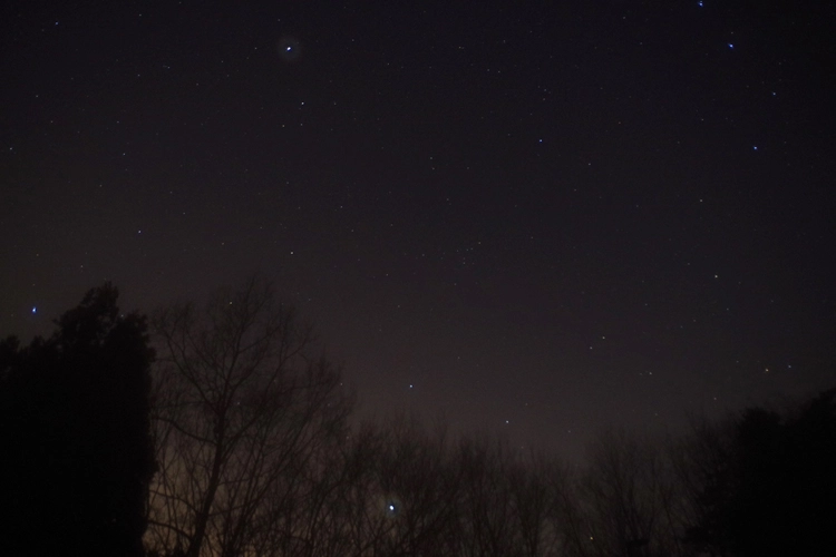 【森と星空キャンプヴィレッジ】星空