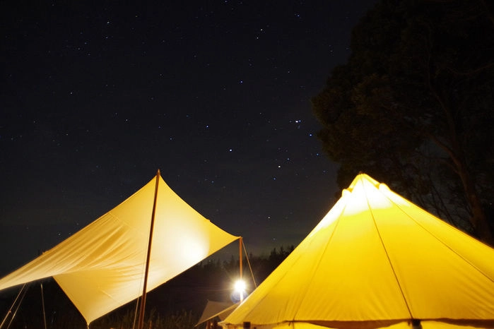 森と星空のキャンプヴィレッジの夜景