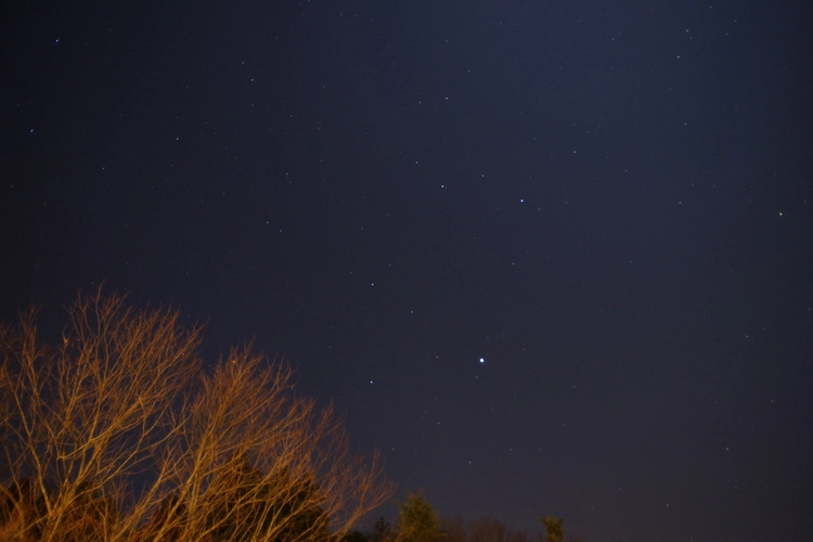 森と星空のキャンプヴィレッジの星空