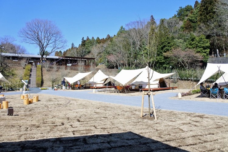 森と星空のキャンプヴィレッジの地面