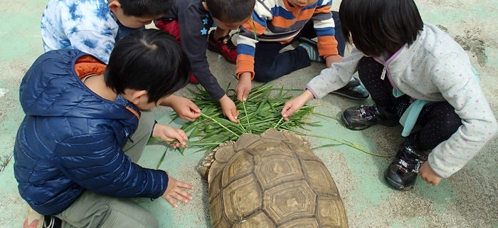 ふれあい動物園で陸ガメと遊ぶ子供達