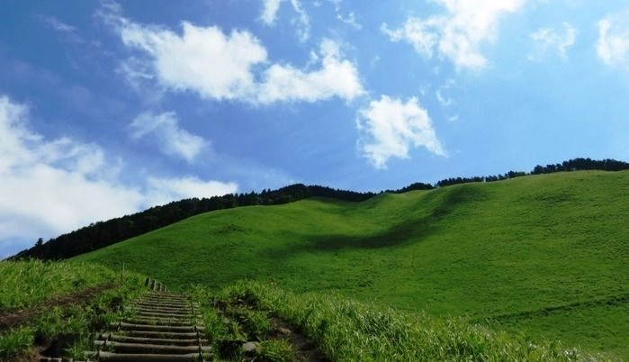 春夏の曽爾高原の風景