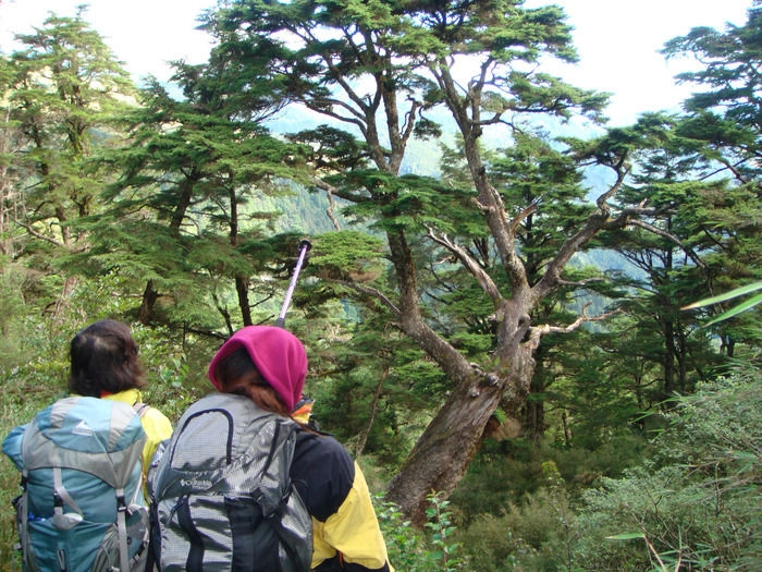 登山中の景色を楽しむ人