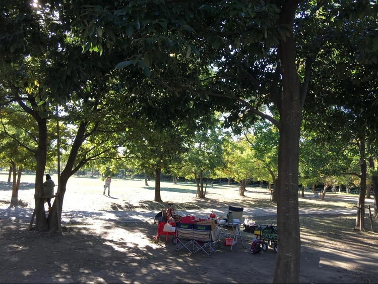 キャンプ 方 デイ 楽しみ