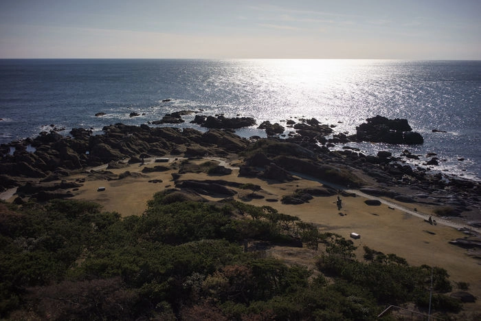 南房総の海が輝く風景