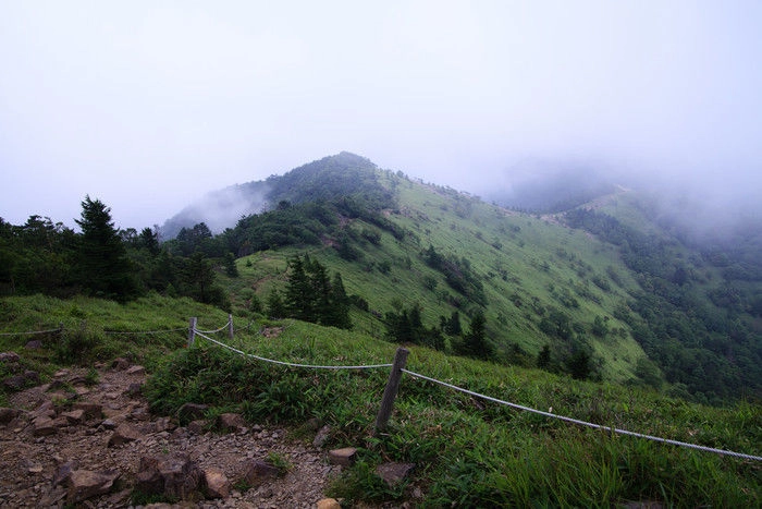 大菩薩嶺の山道