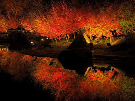 なばなの里の紅葉ライトアップ