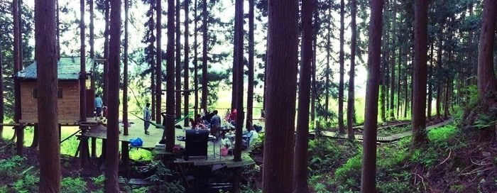 nozawa green fieldのキャンプサイトの様子