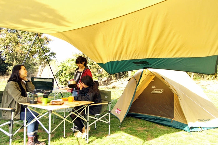 Coleman イージーキャノピーST II／220(グリーン)の商品紹介
