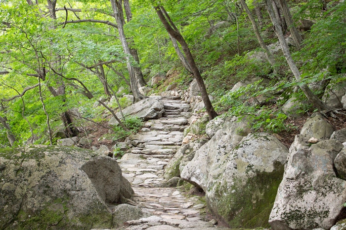 登山道の石段