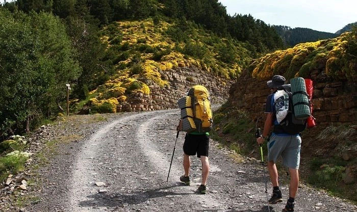 リュックを背負い山道を歩く人