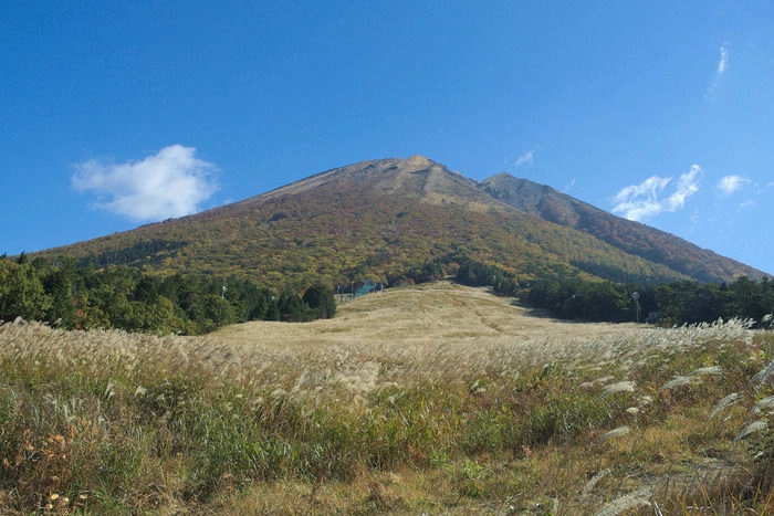 すすきと鳥取県の大山
