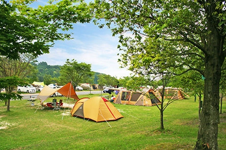 青川峡キャンピングパークのキャンプサイト