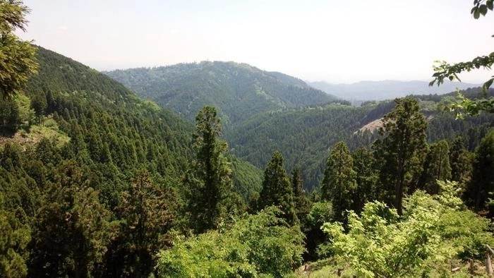 高尾山