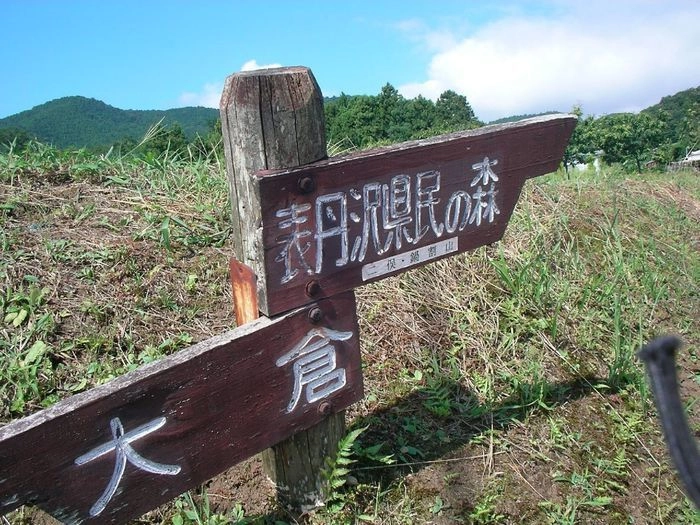 大倉と表丹沢県民の森の分岐点標識