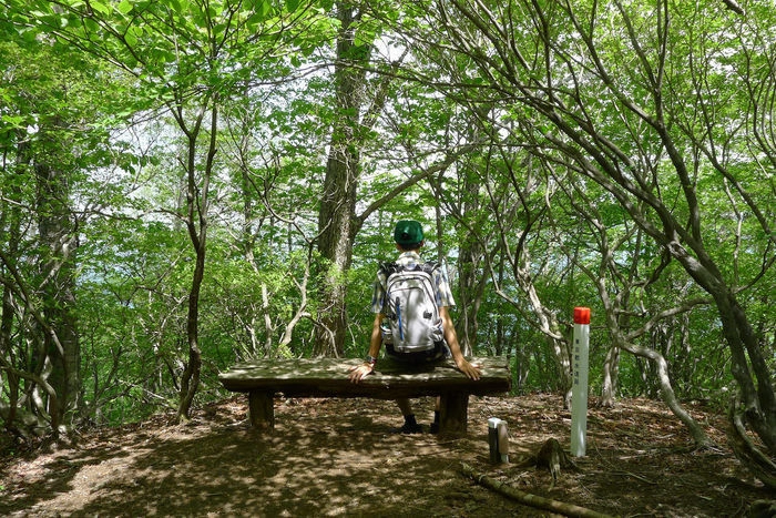 奥多摩の三頭山の山頂