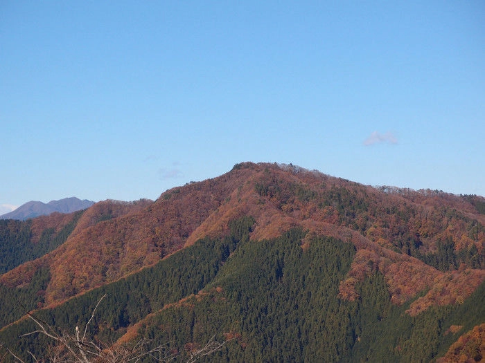 紅葉した陣馬山