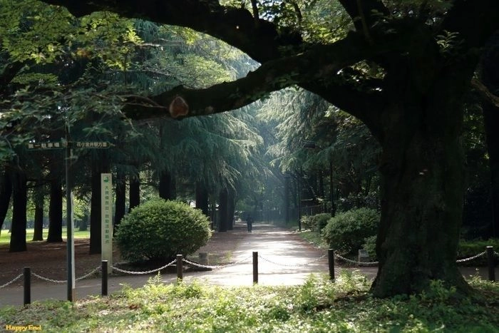 小金井公園