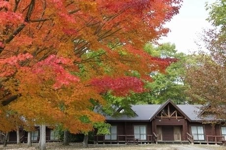 広島県人気キャンプ場ランキング おすすめ選 キャンプ アウトドア情報メディアhinata 広島県人気キャンプ場ランキング おすすめ選 キャンプ アウトドア情報メディアhinata