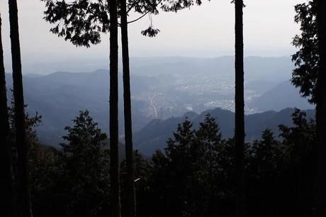 山頂付近から街を撮影した写真
