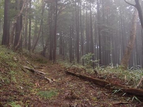 下の山道