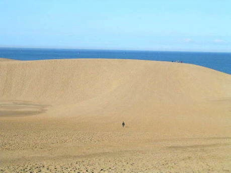 鳥取県手ぶらで行けるおすすめバーベキュー場11選 海や砂丘でbbqを満喫 キャンプ アウトドア情報メディアhinata