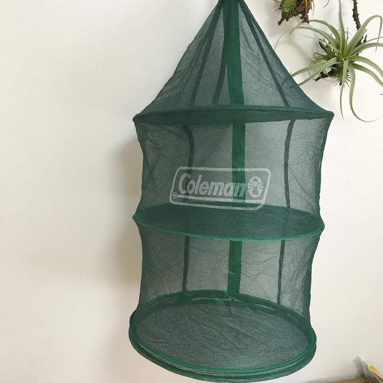 【我が家の愛用ギア】買ってよかった！目立たないけど便利なキャンプグッズ9選 | キャンプ・アウトドア情報メディアhinataのアイキャッチ画像