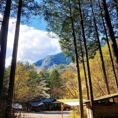 森林と清流が一体となったほうれんぼうの森キャンプ場で大自然を満喫しよう!