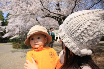 赤ちゃんをキャンプに連れて行きたい！おすすめのキャンプ用品やキャンプ場を紹介