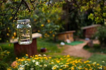 サイトに幻想的な光を！ソネングラスの魅力とアレンジ術3選