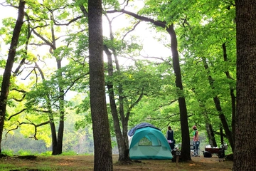 「フォレストサンズ長瀞」でアメリカンなキャンプを楽しもう！