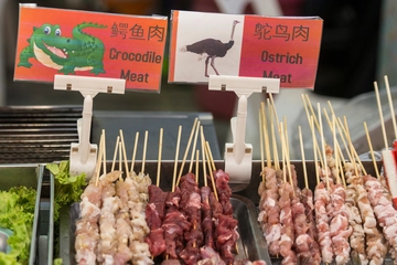 ダチョウ肉やワニ肉!?「珍肉」でワイルドキャンプ飯に挑戦しよう☆
