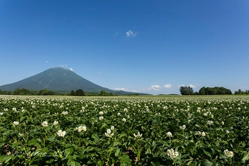 北海道の大自然を堪能!ニセコの大人気おすすめコテージ9選!