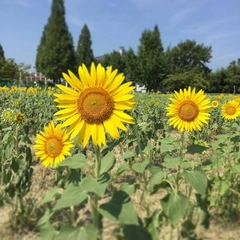 バーベキューを楽しめる「戸田川緑地」は、子どもが喜ぶ遊び場も充実!