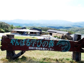 沖縄の大自然！「やんばる学びの森」で学んで遊んで宿泊！