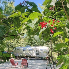 友人の庭にお邪魔するような新感覚キャンプ場「The Camp & Garden AMANAYU」