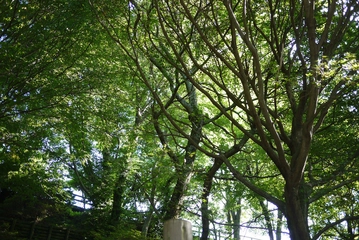 手ぶらOK！送迎もある大森リゾートキャンプ場は家族で楽しめる！