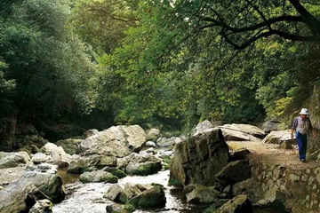 美しい自然が残る摂津峡のバーベキュー場おすすめ3選