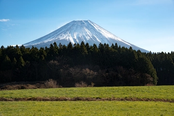 富士山の麓、林間にある朝霧高原オートキャンプ場で心地よいキャンプを楽しもう♪