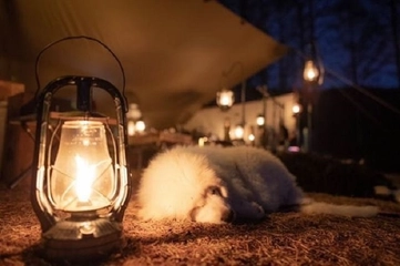 【キャンパーこだわりの逸品】キャンプの夜を盛り上げてくれるランタン~後編~