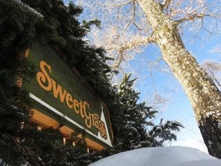 大人気！「北軽井沢スウィートグラス」で雪中キャンプを満喫しよう