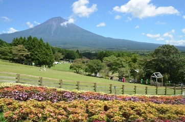 「まかいの牧場」は子どもも大人も大満足!富士山&グルメ&アクティビティ