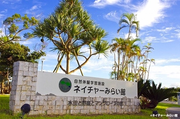 沖縄最大級の体験施設!ネイチャーみらい館でキャンプをしよう!