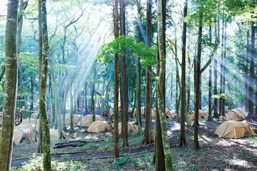 美術館でキャンプができる!?ポーラ美術館でアートと自然が融合する『FOREST MUSEUM 2019』開催