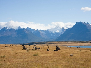 暖かさが段違い！パタゴニアのおすすめシンチラ4選