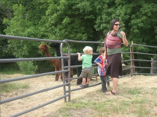 軽量！安全！モンベルの抱っこ紐で赤ちゃん連れのアウトドアも快適に