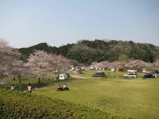 人気スポット「カントリーパーク大川」の魅力を探る!