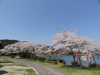 椛の湖オートキャンプ場を解説!景観も居心地も抜群!