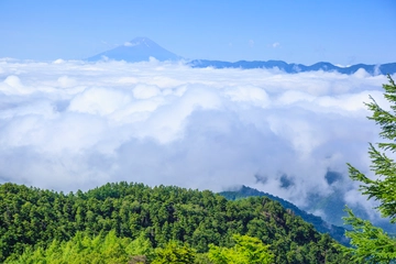 「雲取山」のおすすめ登山ルートは？初心者の注意点や宿泊方法まで完全ガイド！